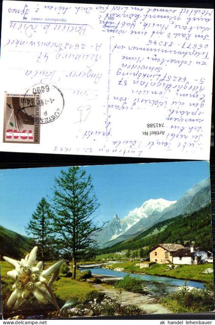 741588 Fotomontage Präge AK Lustenau Edelweiß i. Vordergrund