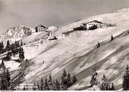 [-5%] AUTRICHE - Wildschönau - Tirol - Markbachjoch - Carte Postale