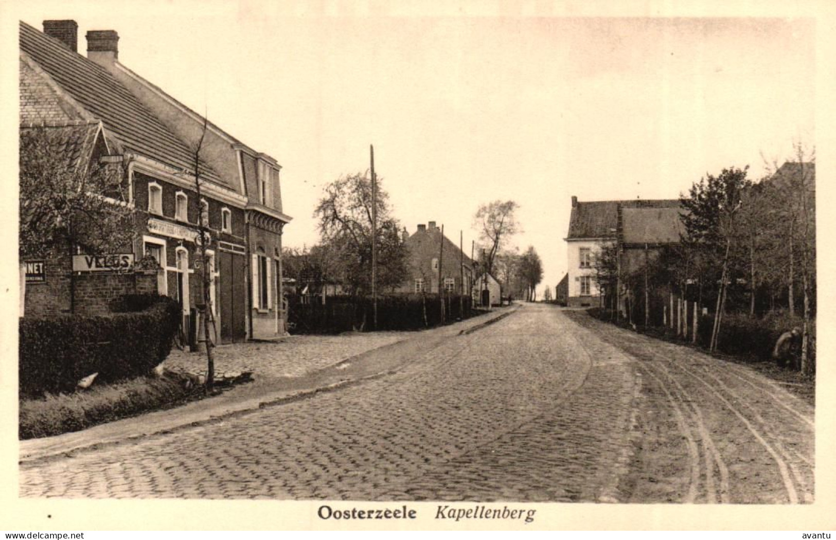 OOSTERZELE / KAPELLENBERG