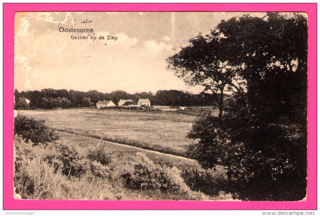 Oostvoorne - Gezicht op de Ziep - P. VAN HULST - 1937