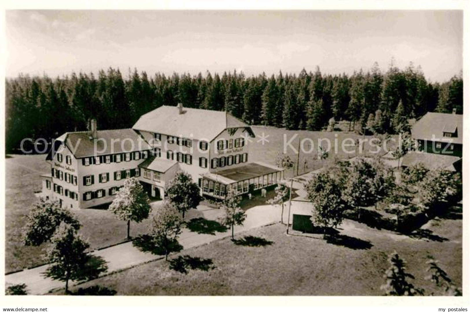 Oppenau Hoehenhotel Zuflucht