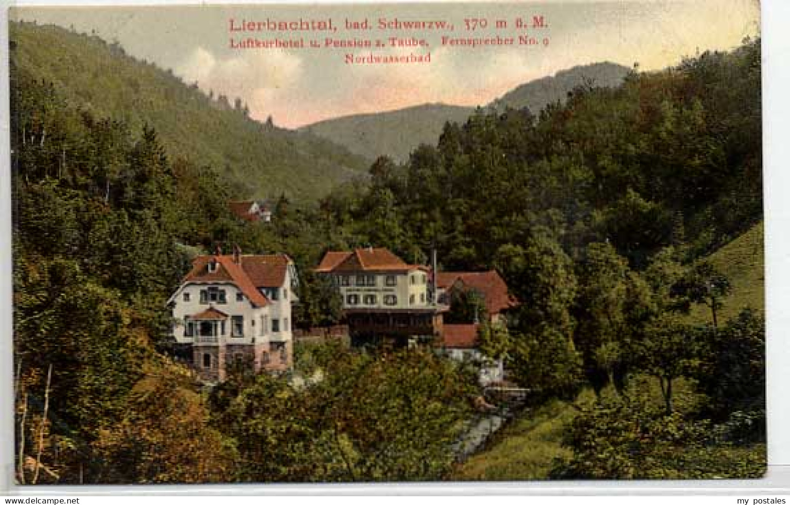 Oppenau Lierbachtal