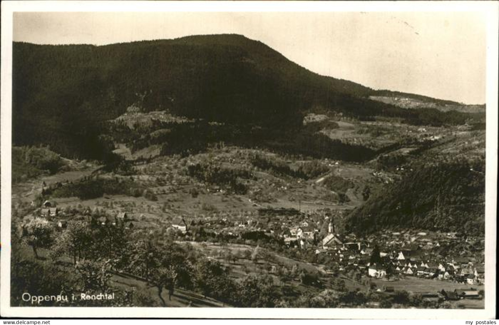 Oppenau Panorama