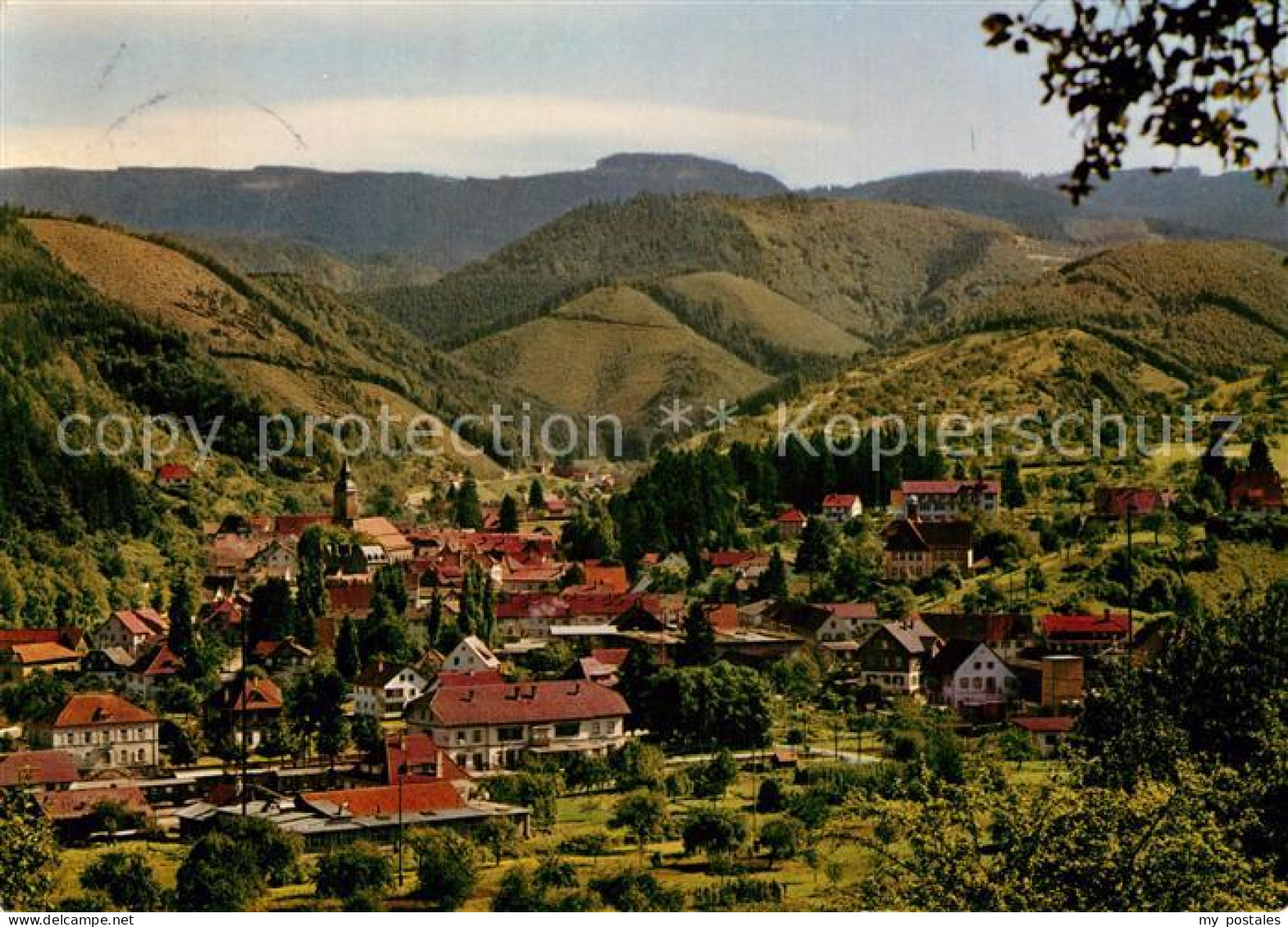 Oppenau Panorama