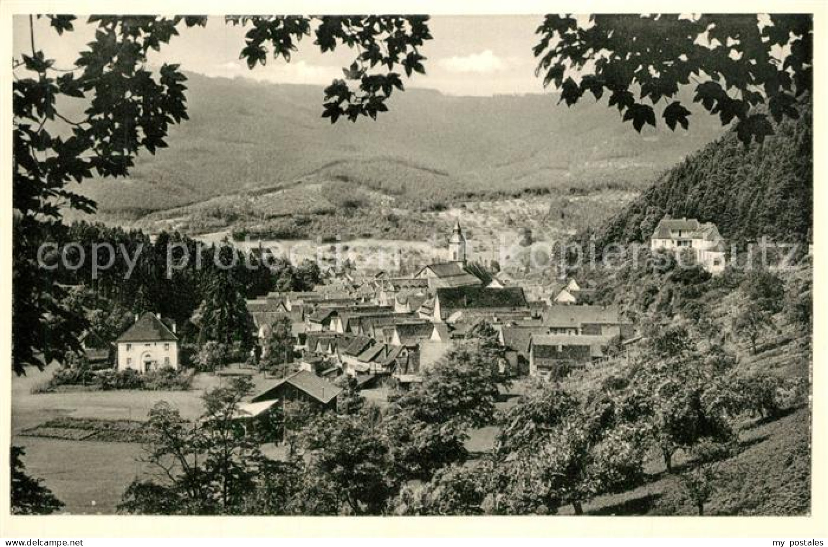 Oppenau Panorama