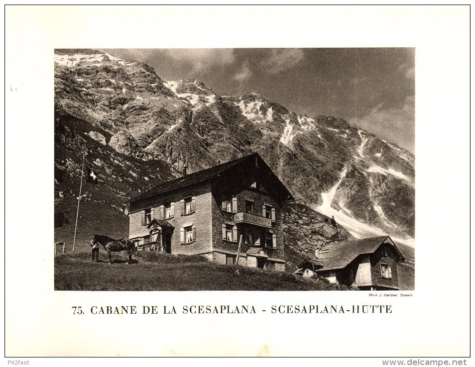 original Ansicht/ Photographie von 1927 , Scesaplana - Hütte , Seewis , Fanaz  ca. 20x13 , Berghütte !!!