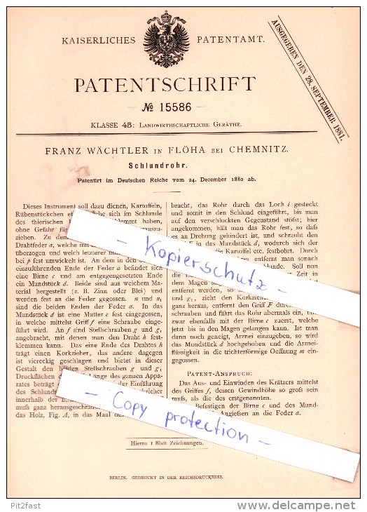 Original Patent - Franz Wächtler in Flöha bei Chemnitz , 1880 ,  Schlundrohr !!!