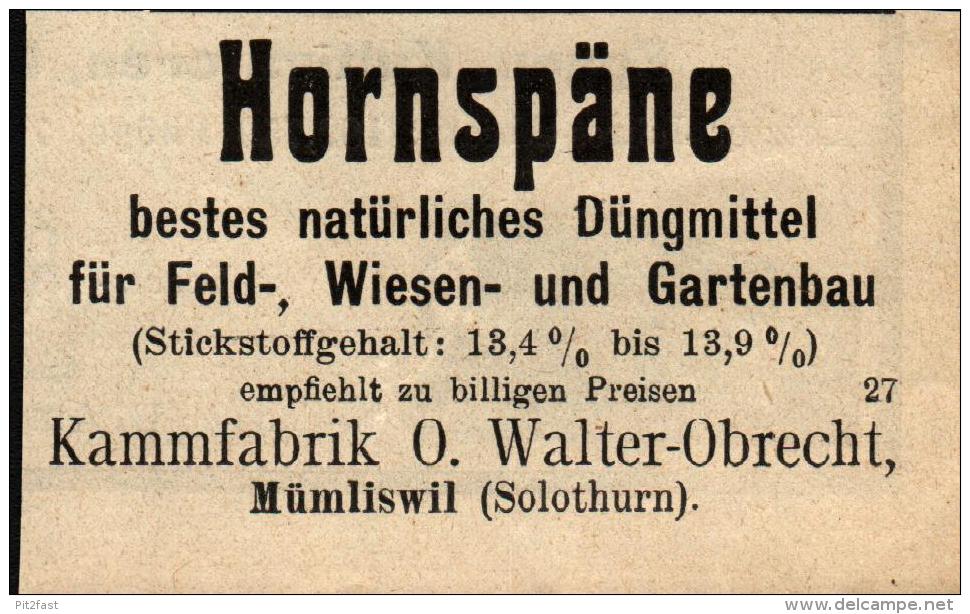 original Werbung - 1911 - Hornspäne , Kammfabrik O. Walter-Obrecht , Mümliswil b. Solothurn , Mümliswil-Ramiswil !!!
