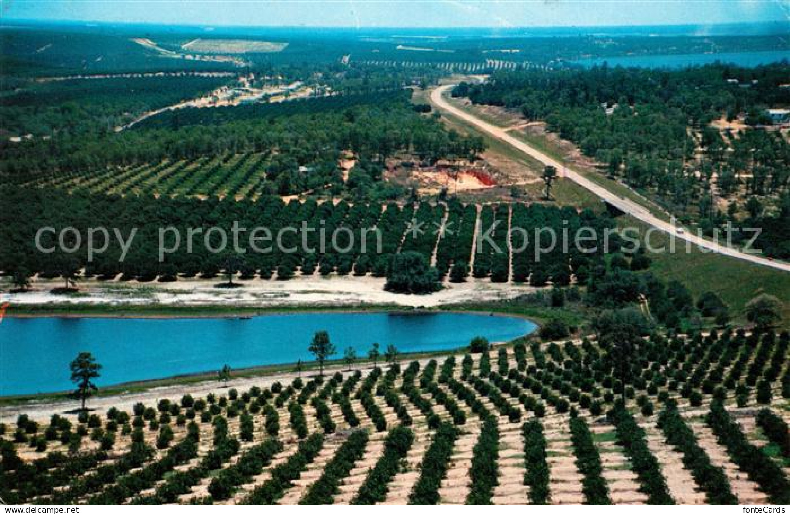 Orlando Florida Citrus Tower