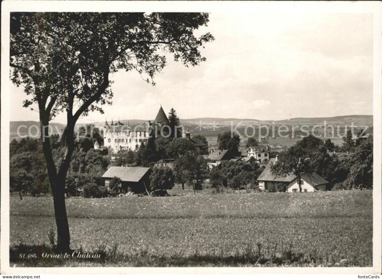 Oron-la-Ville Vue generale et le Chateau