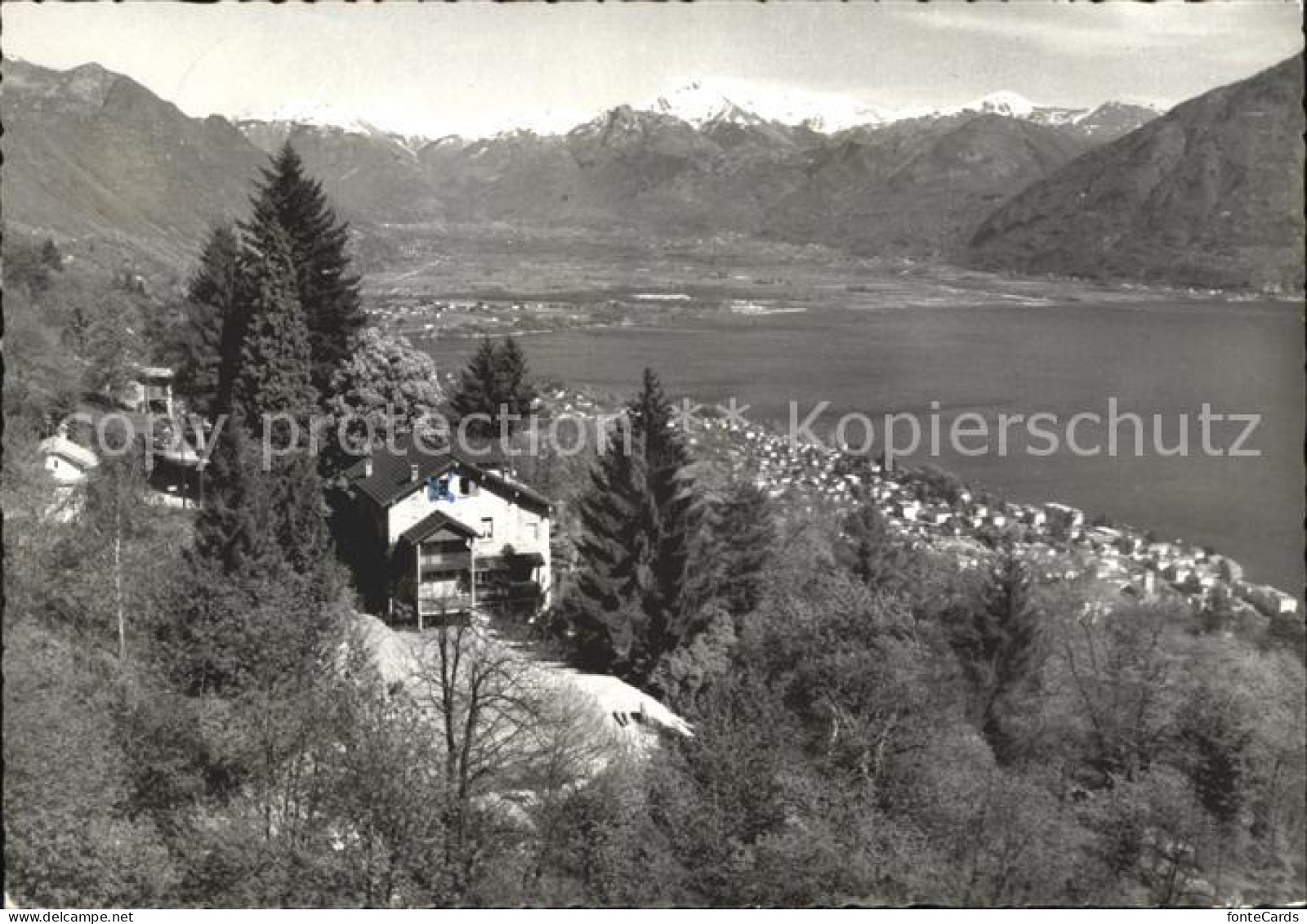 Orselina TI Bergheim