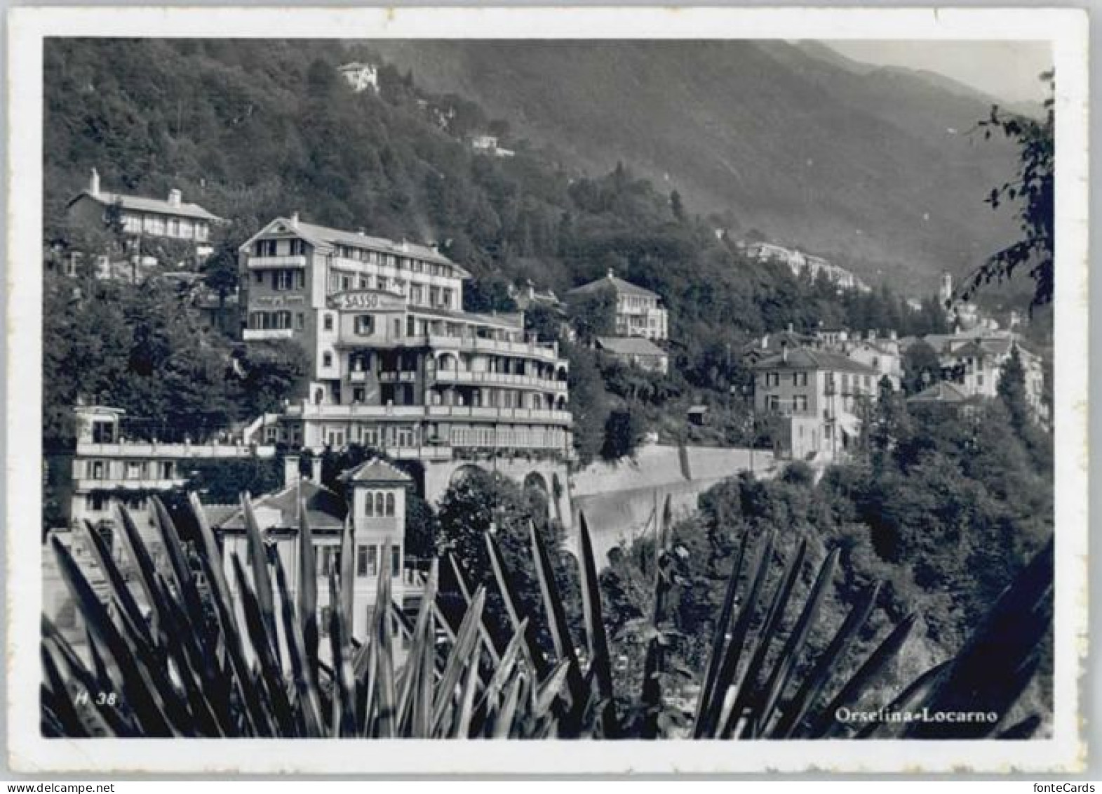 Orselina TI Orselina