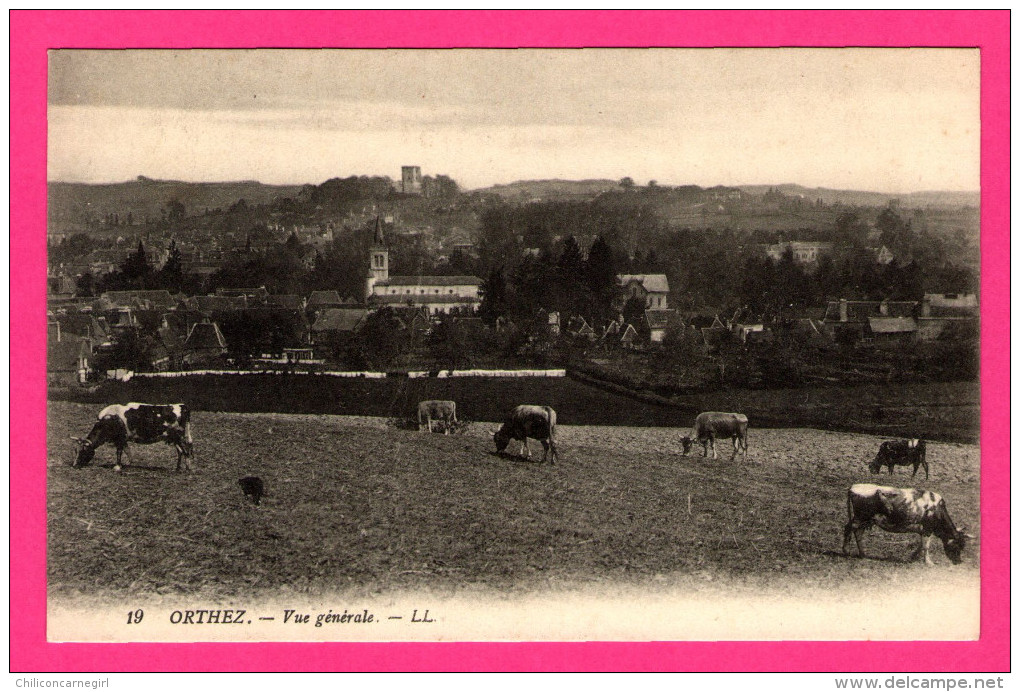 Orthez - Vue Générale - Avec Vaches - L.L.