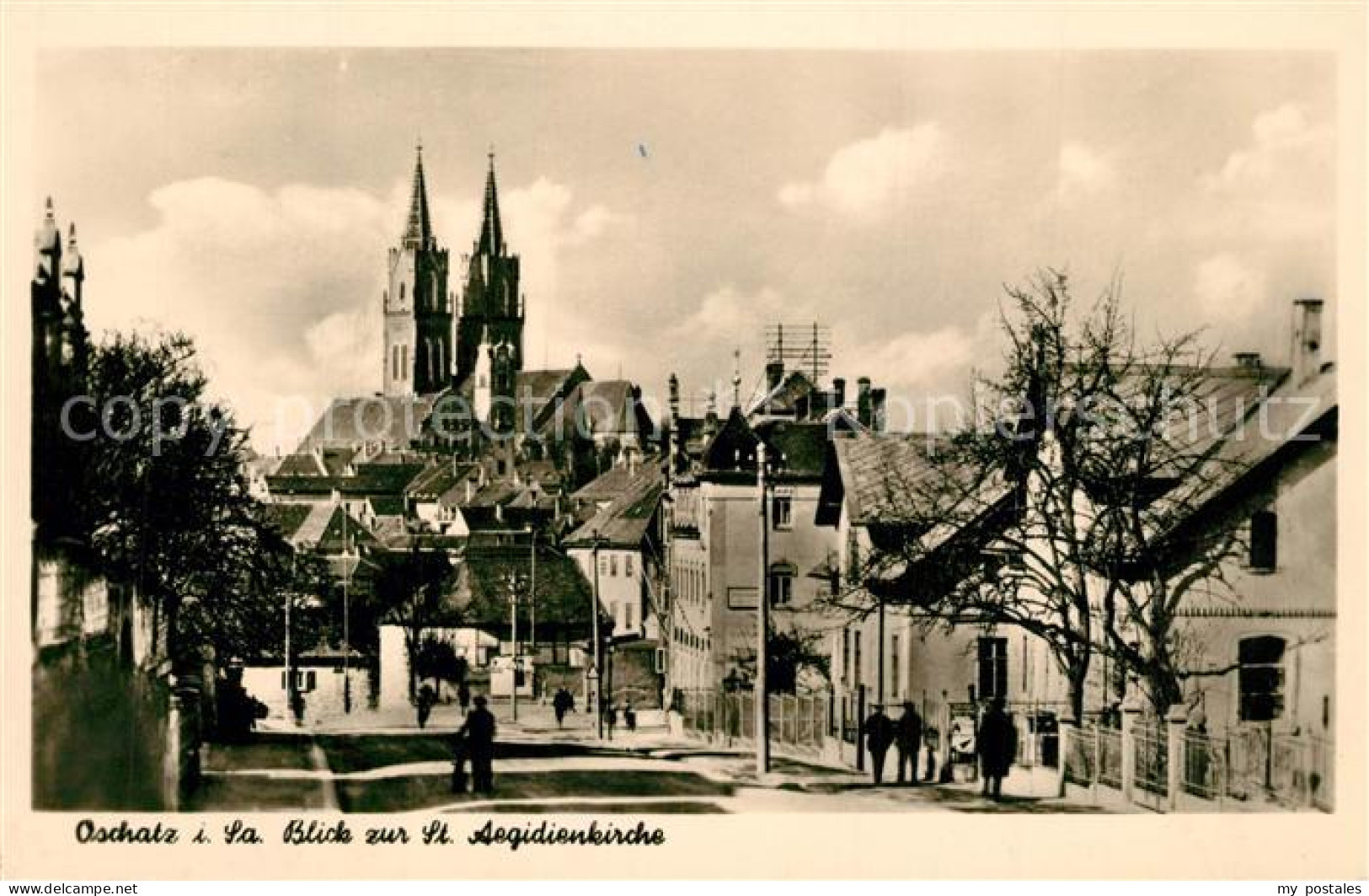Oschatz Aegidienkirche Panorama