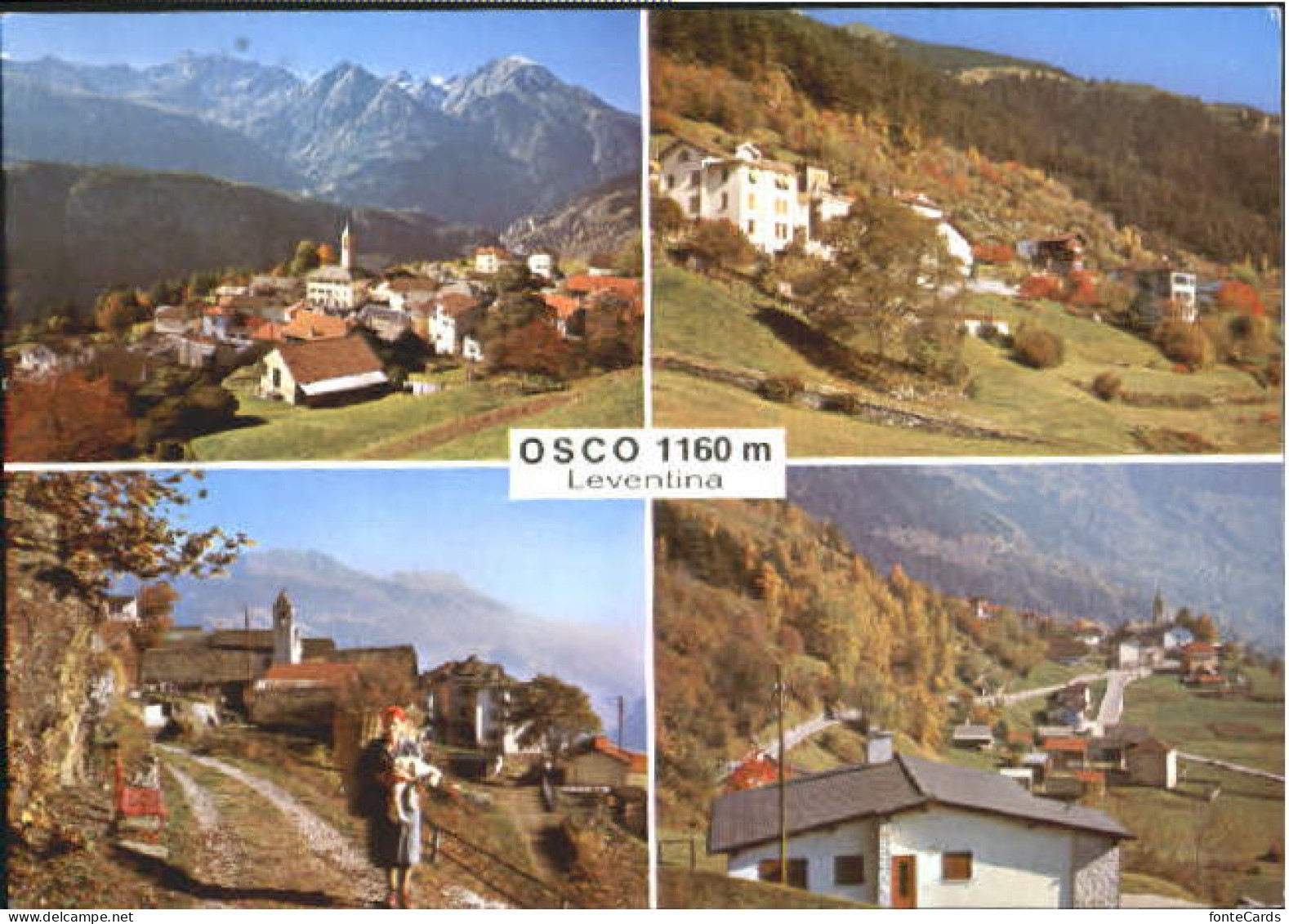 Osco  x 1980