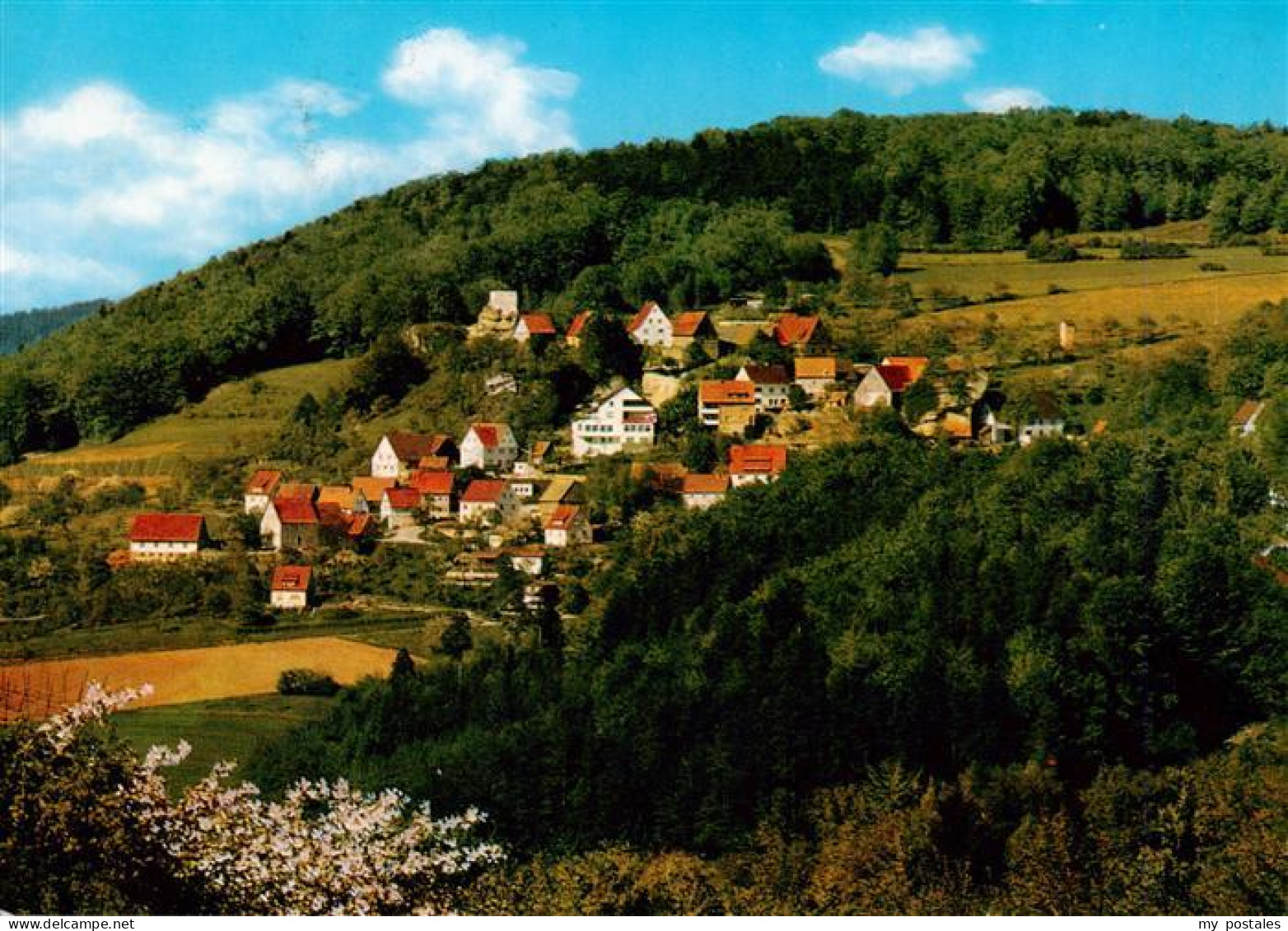 Osternohe Lauf Fliegeraufnahme