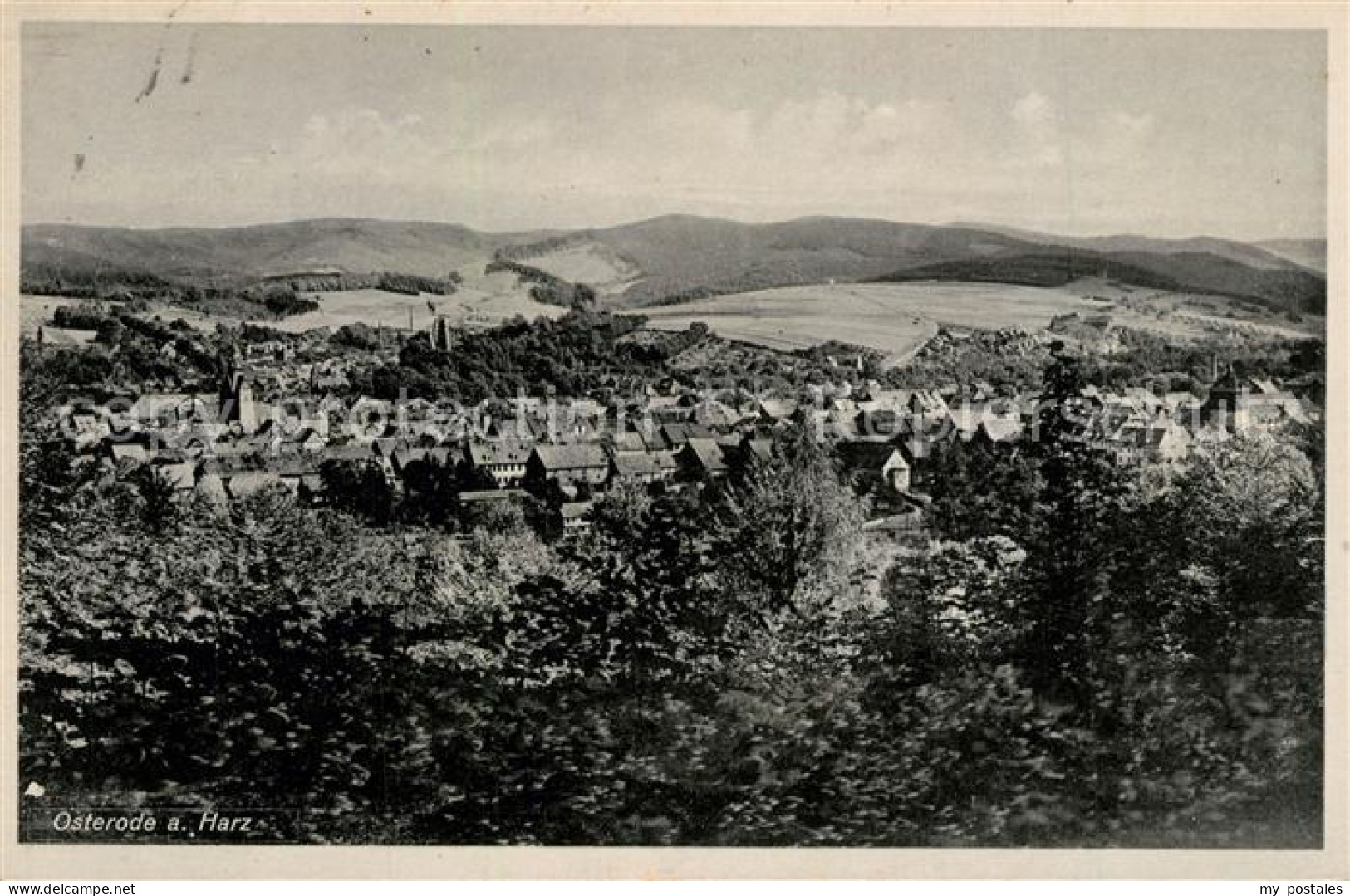 Osterode Harz Panorama