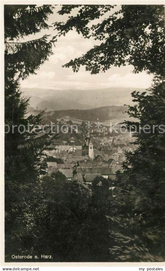 Osterode Harz Panorama