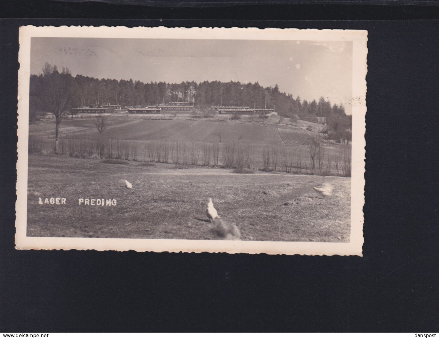 Österreich AK RAD Lager Preding 1941