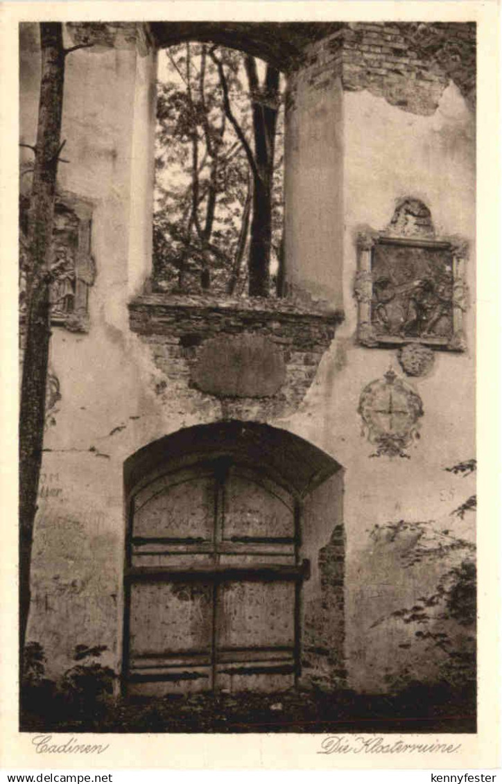 Ostpreussen - Cadinen - Klosterruine