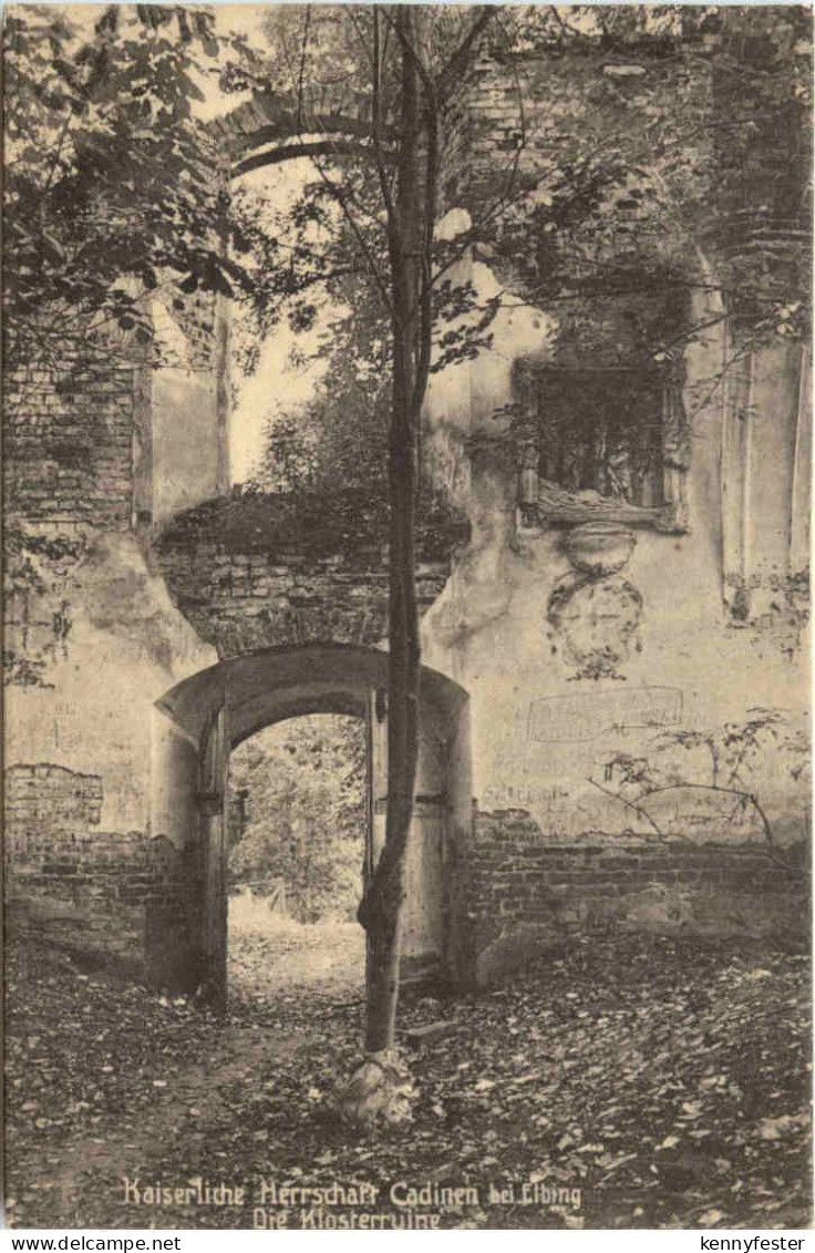 Ostpreussen - Cadinen - Klosterruine