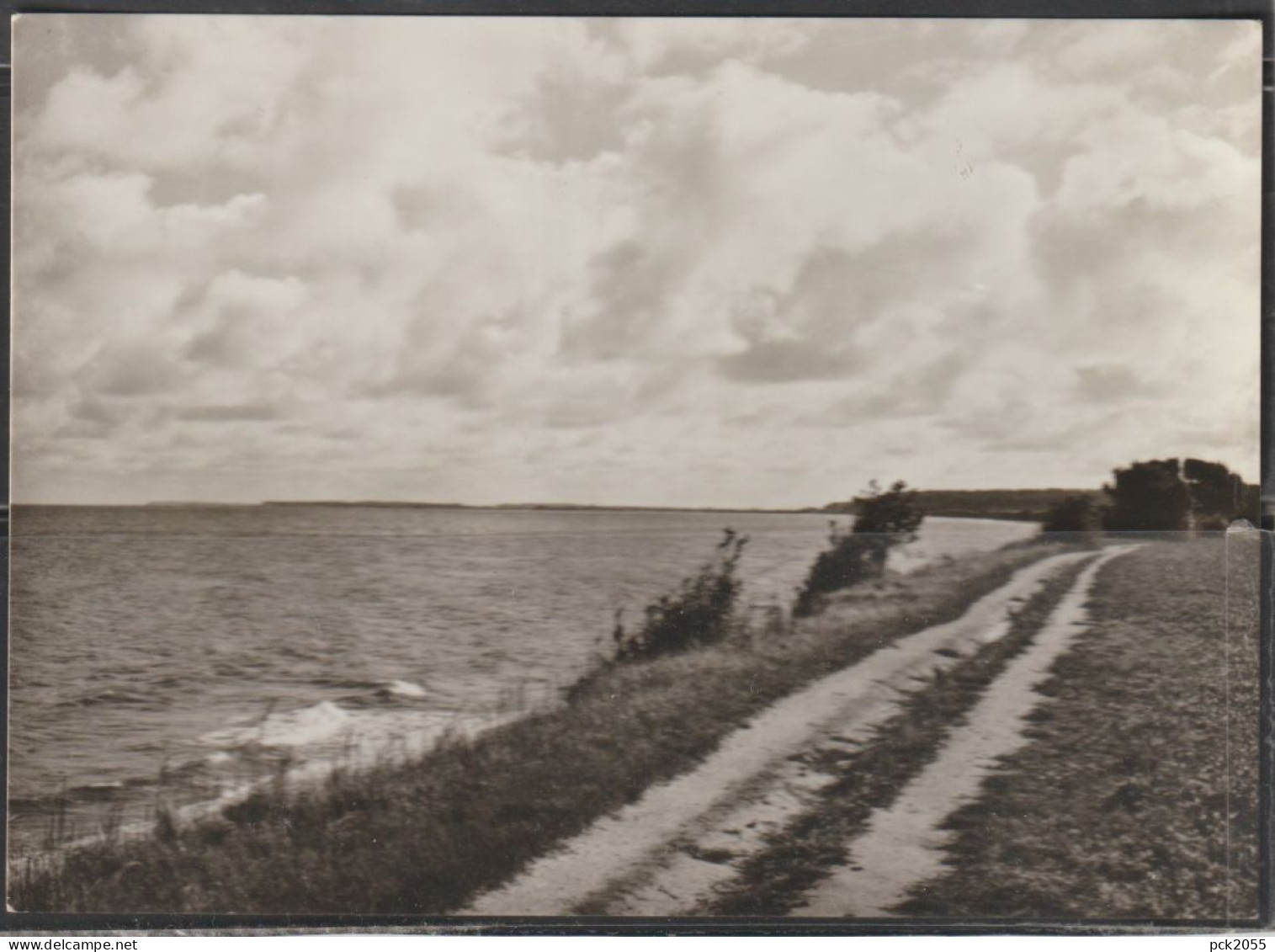 Ostseebad KÜHLUNGSBORN - Weg nach Heiligendamm - nicht gelaufen  ( AK 7030 )