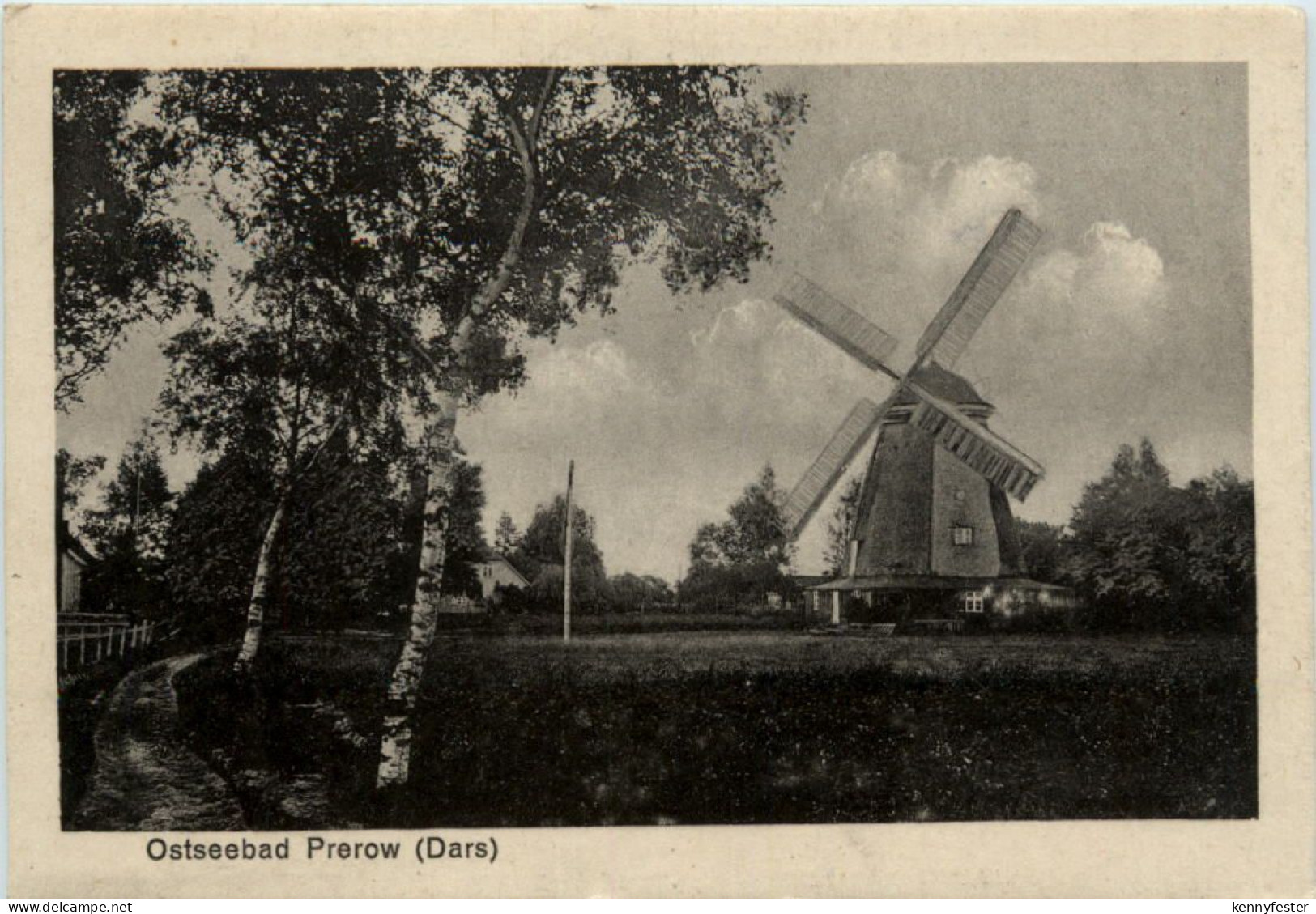 Ostseebad Prerow Dars