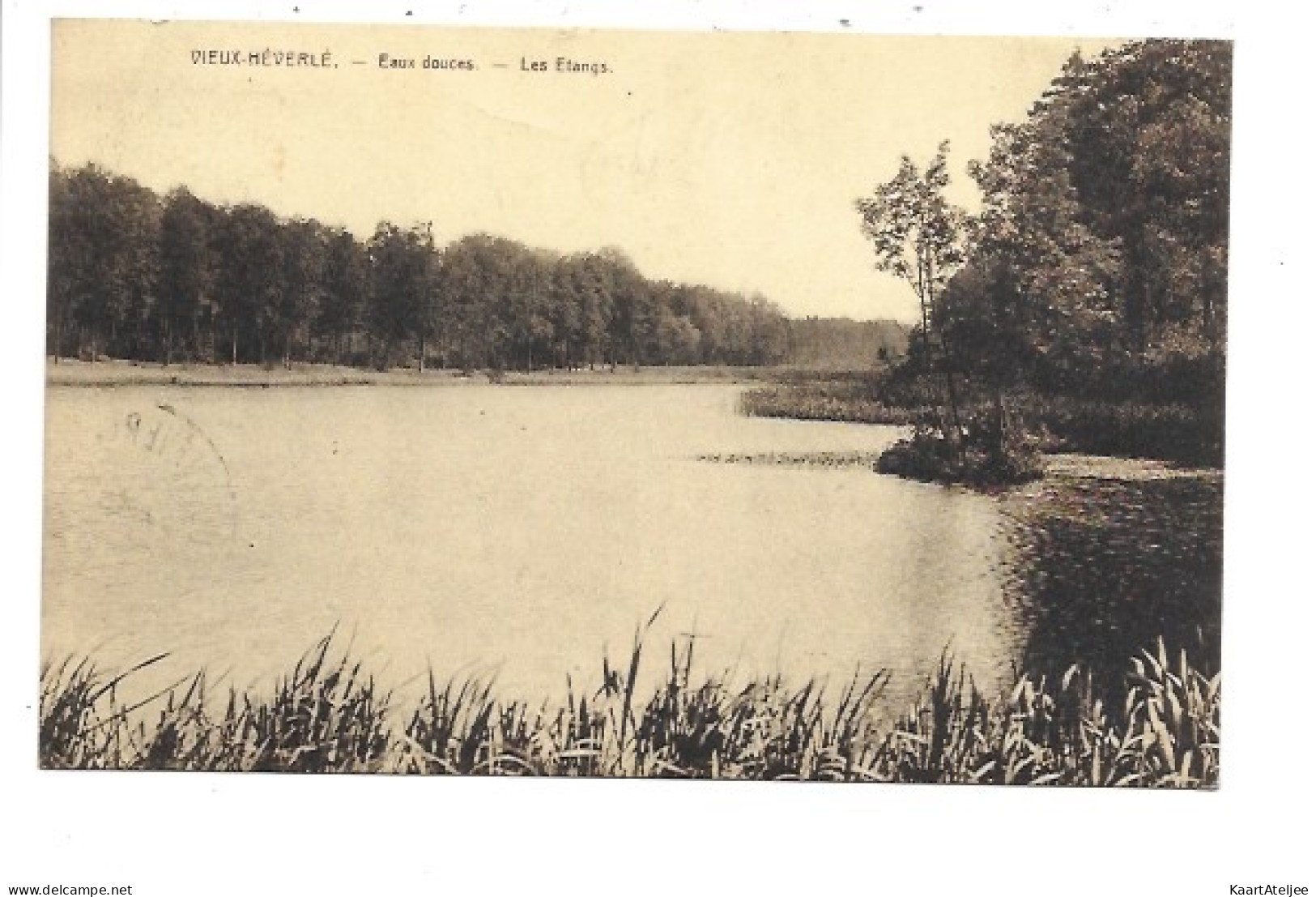 Oud-Heverlee - Eaux-Douces - Les étangs.