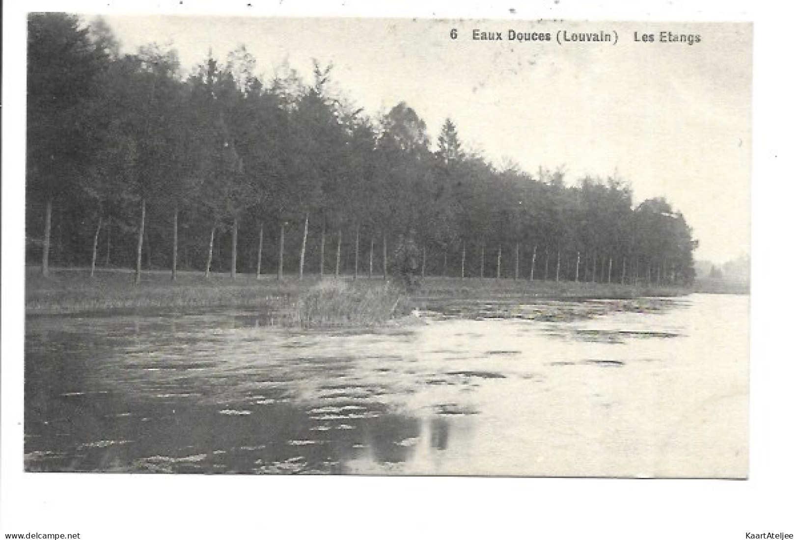 Oud-Heverlee - Eaux-Douces - Les etangs.