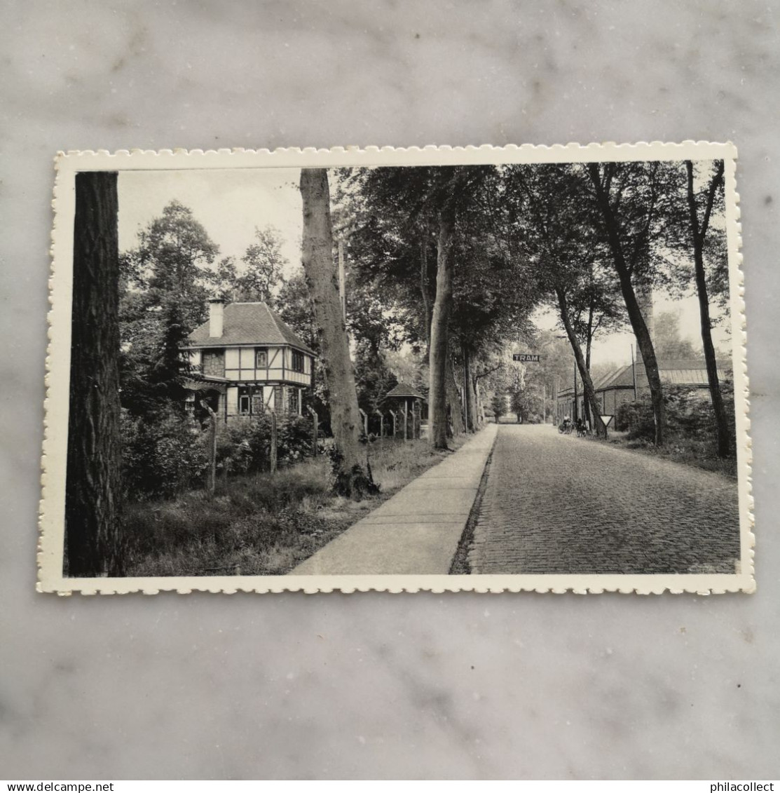 Oud - Turnhout // Zwaneven (Tram Halte) 19??