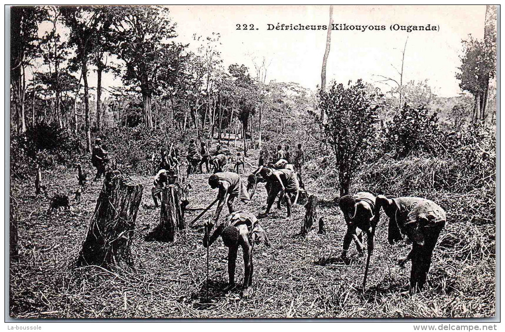 OUGANDA - défricheurs Kikouyous