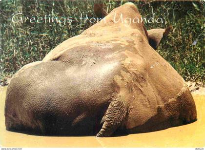 Carte Postale - Ouganda - Kampala - Uganda white rhinoceros - Animaux - CPM - Voir Scans Recto-Verso