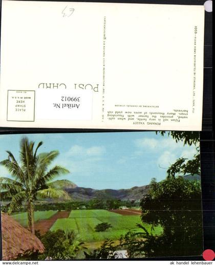 399012,Fidschi Fiji Penang Valley Landschaft Palme