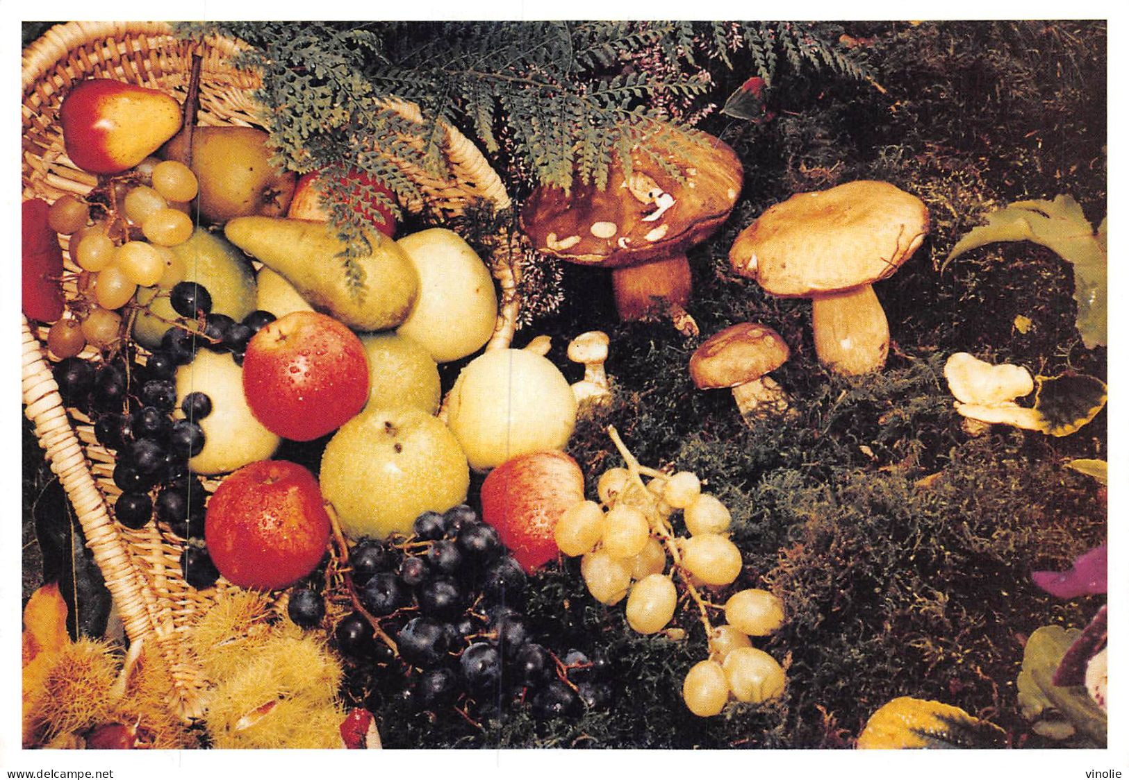 P-24-T.Pl.Ble-7726 : NOYERS-SUR-CHER. JARDINERIE  FLEURIREVE