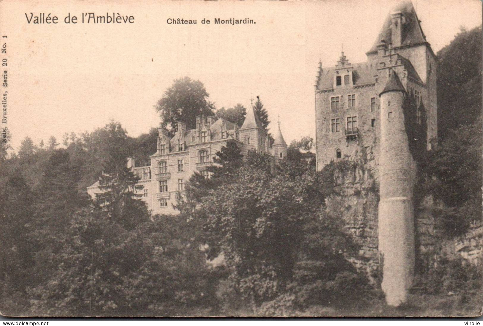 P-25-T-JUM : 8691 :  VALLEE DE L'AMBLEVE. CHATEAU DE MONTJARDIN