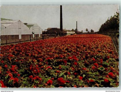 10518068 - Aalsmeer