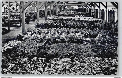1431 Aalsmeer - Blumen-Auktions-Markt - 51121007