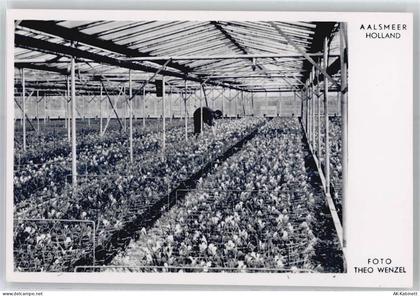 1431 Aalsmeer - Blumen-Auktions-Markt - 51121008