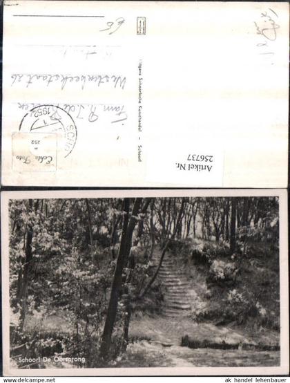256737,Schoorl de Oorsprong Partie Wald
