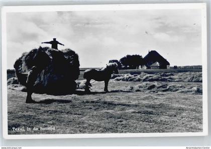 50539631 - Den Hoorn DEN HOORN TEXEL