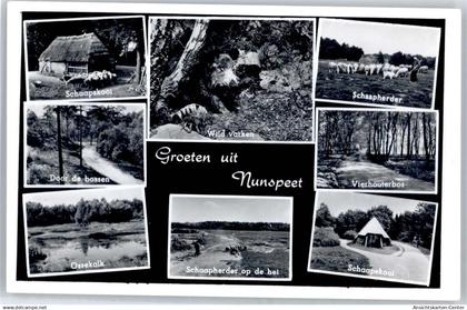 51097224 - Nunspeet