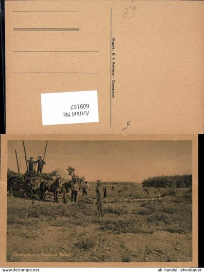 609167,Ootmarsum Paashout halen Pferdefuhrwerk Landwirtschaft Netherlands