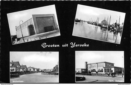 BG29736 groeten uit yerseke    netherlands   CPSM 14x9cm