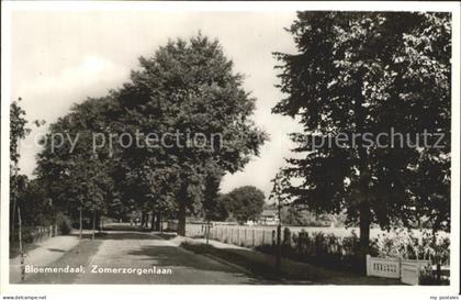 Bloemendaal Zomerzorgenlaan