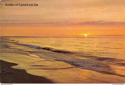 BT9102 Egmond aan zee      Netherlands