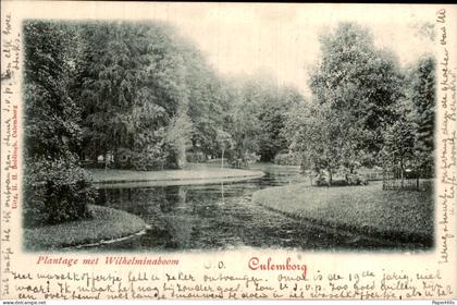 Culemborg- Wilhelminaboom