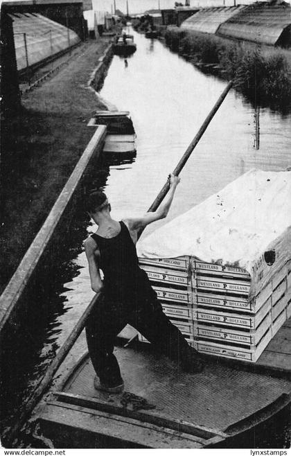 Netherlands Boat Transporting Westland Boxes Man Rowing Zuid Holland postcard