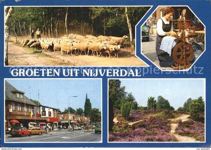 Nijverdal Schafe Strassenpartie Spinnerin