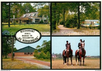 Norg Cafe Restaurant Manege Camping De Norgerberg Pferde Ausritt