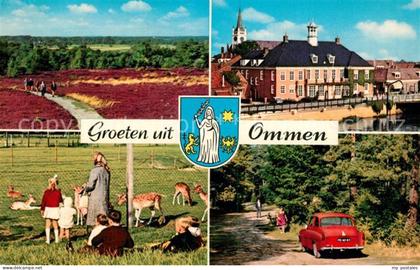 Ommen Overijssel Heide Damwild Rathaus